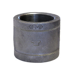 ASC ENGINEERED SOLUTIONS Winston Basics 310081609 3 BLK STL 150# COUP DOM
