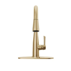 DELTA FAUCET Delta Faucet 9113-CZ-DST Essa Single Handle Pull-Down Kitchen Faucet