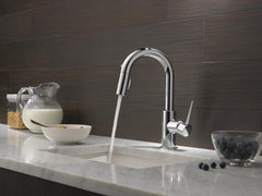 DELTA FAUCET Delta Faucet 9959-LS-DST Trinsic Single Handle Pull Down Bar Faucet