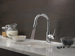 DELTA FAUCET Delta Faucet 9959-LS-DST Trinsic Single Handle Pull Down Bar Faucet