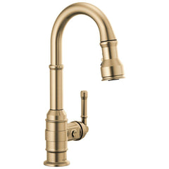 DELTA FAUCET Delta Faucet 9990-CZ-DST Broderick Single Handle Pull Down Bar Faucet