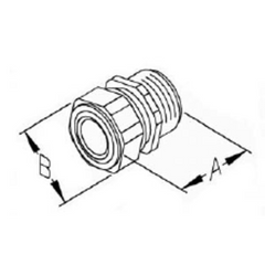 312664426.webp