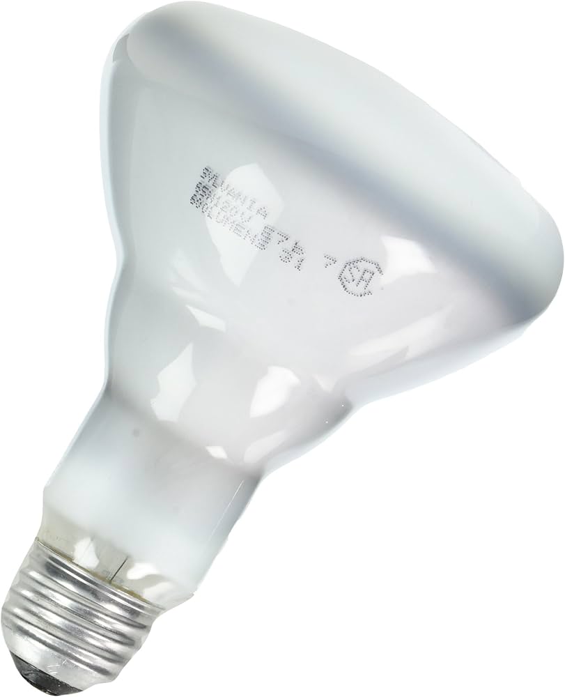 LEDVANCE Ledvance 65BR30/FL/RP-120V/15160 Sylvania Ecologic incandescent lamp 65W 120V BR30 flood E26 medium base 60 degree