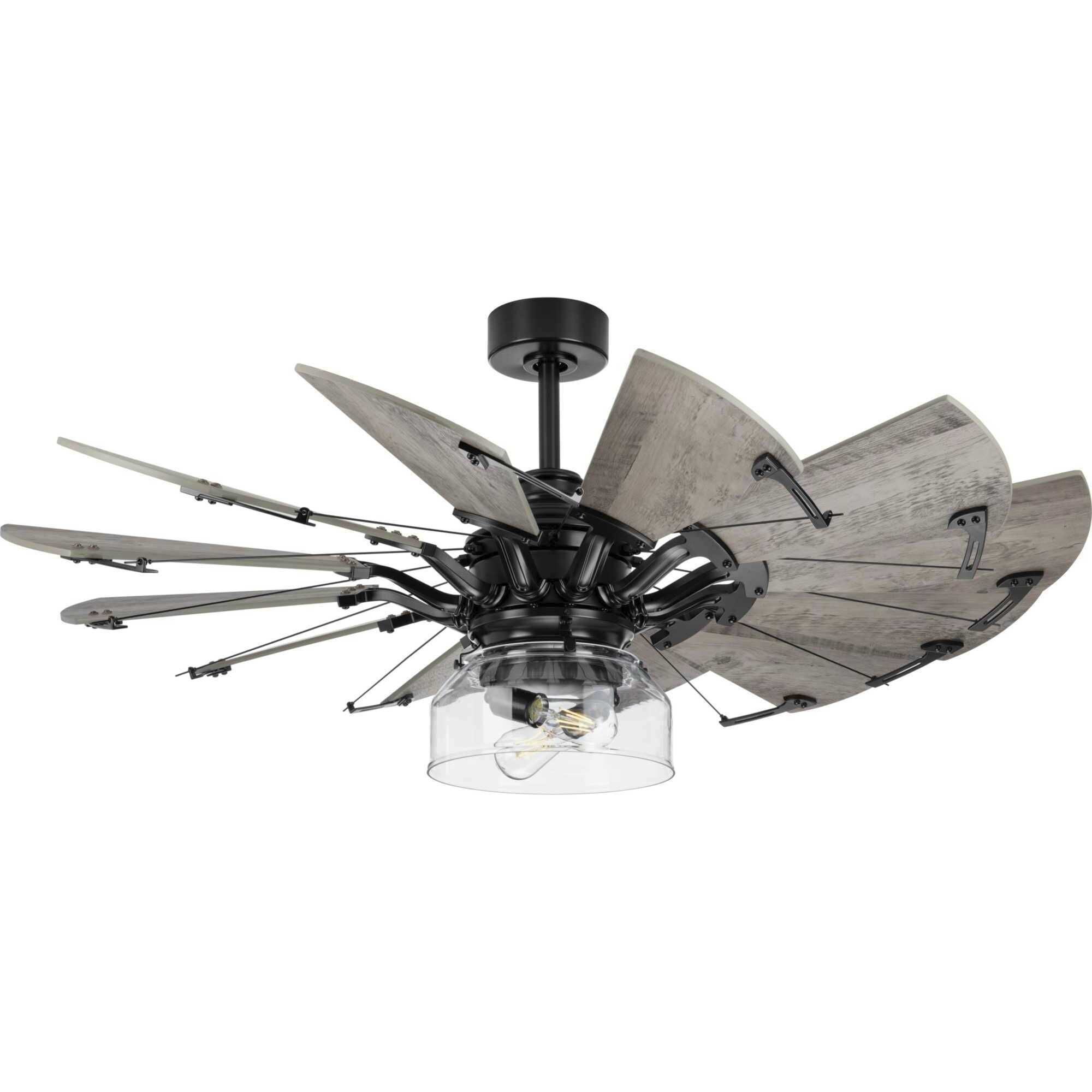PROGRESS LIGHTING Progress Lighting P260000-31M-WB Springer 2 Light Ceiling Fan Light Kit 7W 11.88 Inch Diameter