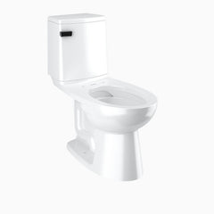 SLOAN Sloan 21740092 St4010-stg Tank Asm 1.28 Gpf Left Hd 12 inches