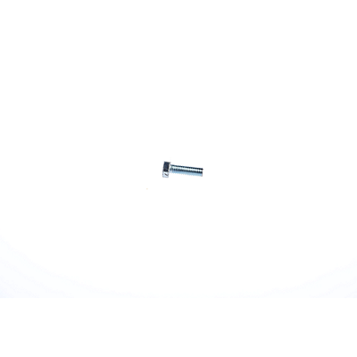 TRANE Trane SCR00943 Screw Cap Hex HD M12x35mm