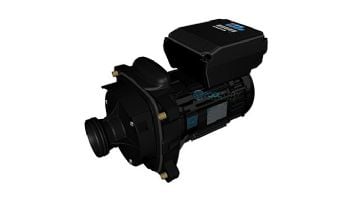 HAYWARD Hayward SPX2303Z1VSPE Power End Assy For SP23520VSP Maxflo VS 500