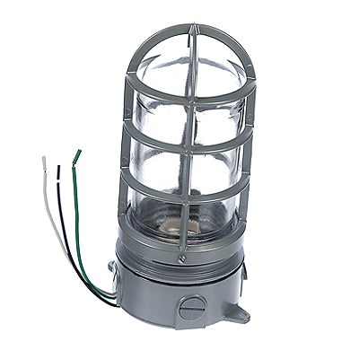 TRANE Trane LIT00127 light 100 watt