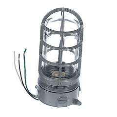 TRANE Trane LIT00127 light 100 watt