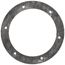 LOCHINVAR Lochinvar GKT2079 Burner and Hex Gasket Kit