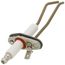 LOCHINVAR Lochinvar LAARS-R2069300 Ignitor with Gasket