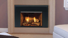 HEARTH & HOME TECHNOLOGIES Hearth Home Technologies 30ILDVPV Direct Vent Gas Insert