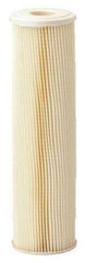 PENTAIR Pentair W20CL(S1) Dustrust Cartridge Filter 2-pack