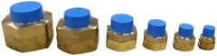 ASC ENGINEERED SOLUTIONS Asc Engineered Solutions 10MXD.WFMJ Mechanical Male Adapter