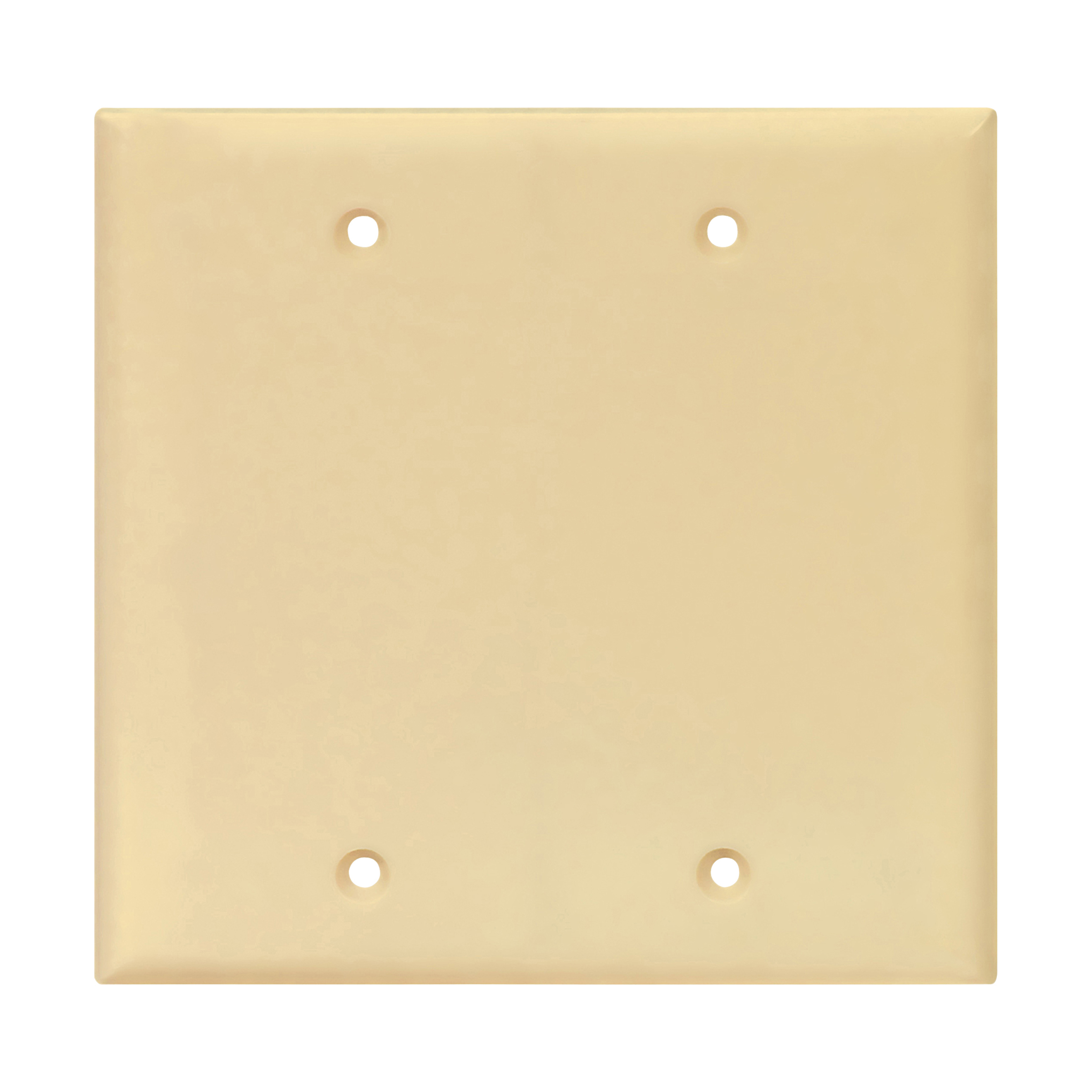 EATON Eaton PJ23V Mid-size 2-gang Blank Wallplate Ivory