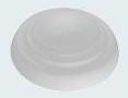 312673163.jpg