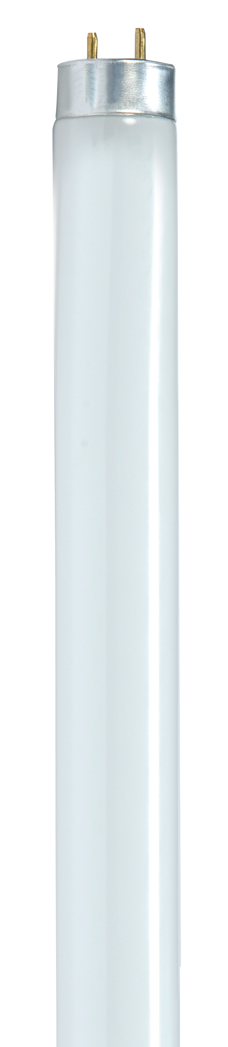 SATCO-NUVO Satco-nuvo S8419 T8 Fluorescent Lamp 32W 3500K 85 Cri