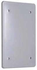 HUBBELL Hubbell PBC100GY 1-gang Blank Wallplate Gray