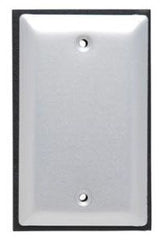 LEGRAND Legrand WPB1 1-gang Gray Weatherproof Blank Cover
