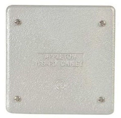 APPLETON Appleton FSK-2B-CA Two-gang Aluminum Flush Blank Cover