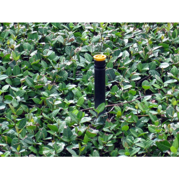 RAIN BIRD Rain Bird X17500 Drip System Visual Indicator Kit