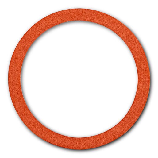 STORM Storm 15046 Seat Washer 3/4 Inches