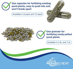 AQUASCAPE Aquascape 89011 Pond Plant Fertilizer Capsules 12 Count