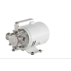 LITTLE GIANT Little Giant 555602 Self-priming Transfer Pump 1/10 Hp
