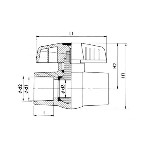 313043144.jpg