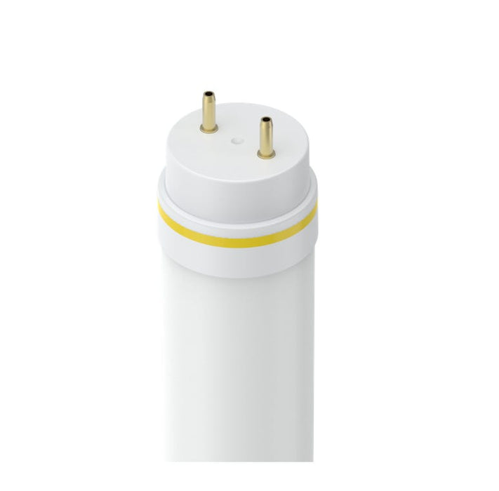 HALCO Halco 87213 Led Straight T8 Tube 12W (4 ft) 48T8-12-850-DSE-BCO5-LED-CG