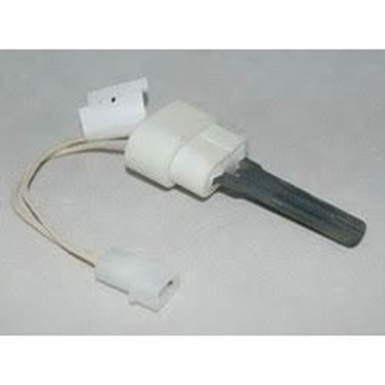 BASO Baso B04S-1E409 Ignitor 120 Vac (2 In.) B04S-1E409