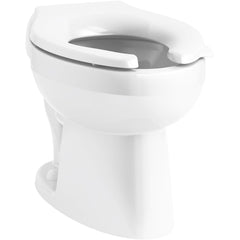 KOHLER Kohler 96054-0 Wellcomme Ultra Elongated Toilet Bowl (Rear Spud) K-96054-SS