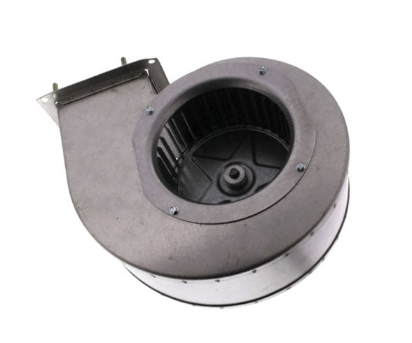 LOCHINVAR Lochinvar FAN2010 Fan Assembly 115V (1 Pack) 100233485