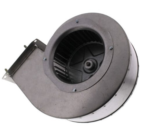 LOCHINVAR Lochinvar FAN2010 Fan Assembly 115V (1 Pack) 100233485