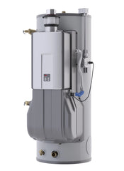 RINNAI Rinnai CHS19980RIN Demand Duo Hybrid 199000 BTU (80 Gal) RCHS19980RIN