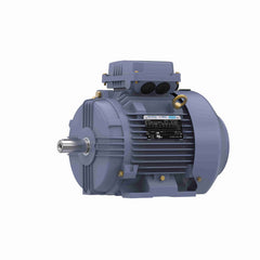 MARATHON MOTORS Marathon Motors R424B Globetrotter IEC frame motor 5.5 Hp 112M (B3 mount)