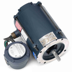 REGAL REXNORD Regal Rexnord 111944.00 Leeson explosion proof electric motor 1/3 HP (56C frame) 111944.00