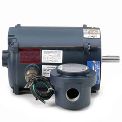 REGAL REXNORD Regal Rexnord 111944.00 Leeson explosion proof electric motor 1/3 HP (56C frame) 111944.00