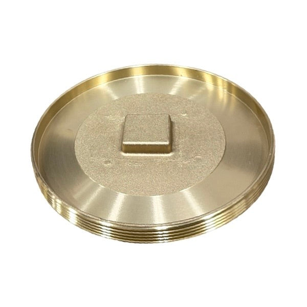 WAL-RICH Wal-Rich 2424316 Countersunk Brass Cleanout Plug 8-inch