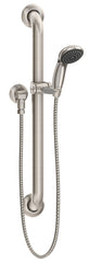 SYMMONS Symmons T724 1-Spray Wall Mounted Handheld Showerhead With ADA Grab Bar 2.5 gpm (3.34 in.)