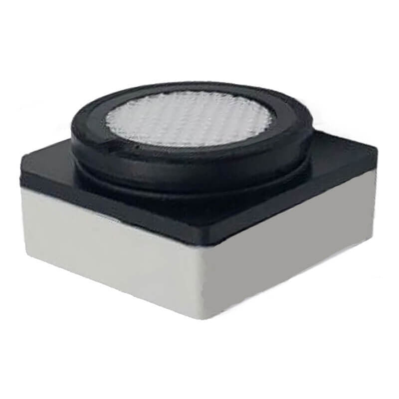 BW TECHNOLOGIES Bw Technologies SR-X1-1S Replacement Oxygen (O2) Sensor 1-Series (For BW Solo, BW Icon+, BW Ultra) SR-X1-1S