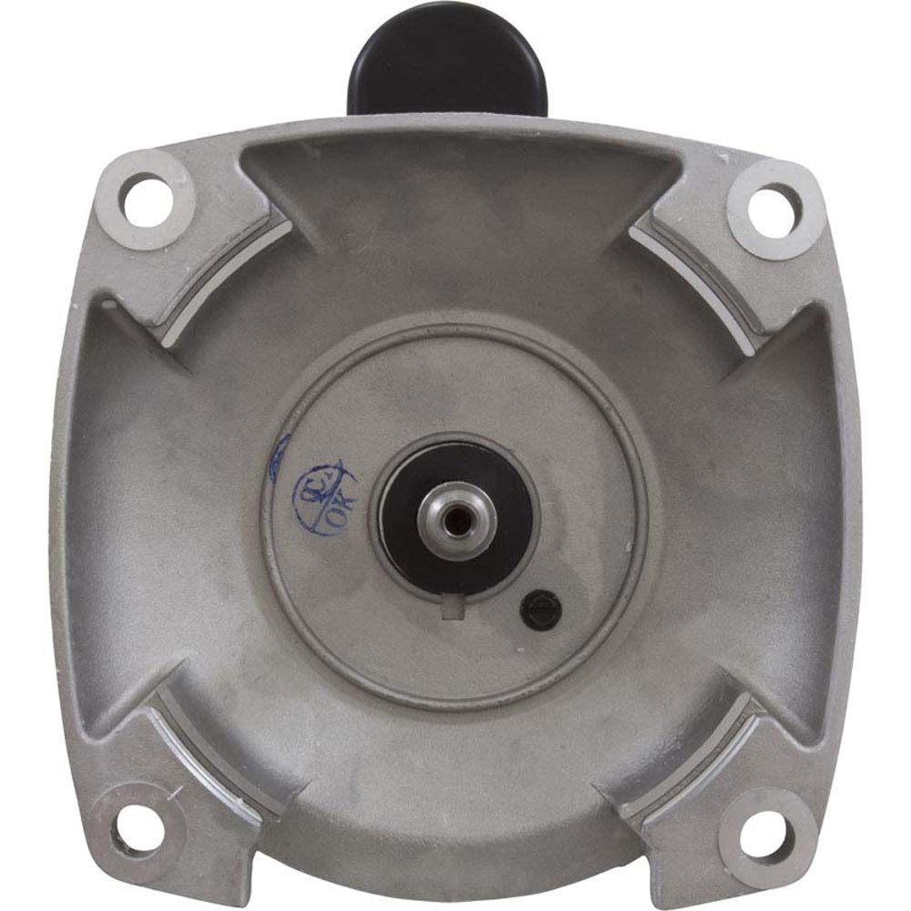 AO SMITH Ao Smith SQ1302V1 3 HP Motor 230V (56Y Frame Square Flange) SQ1302