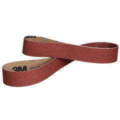 3M 3M 7100141420 384F Belt 24 Inch L 1/8 Inch W (200 Each/Case)