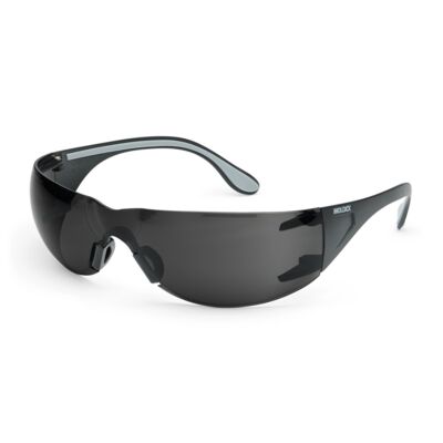 MOLDEX Moldex 5003S-1 Adapt Lite Safety Glasses (1 Pack)