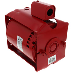 ARMSTRONG PUMPS Armstrong Pumps 816141-002 1/3 HP 1 phase motor 1725 RPM (Replacement 816141-002)