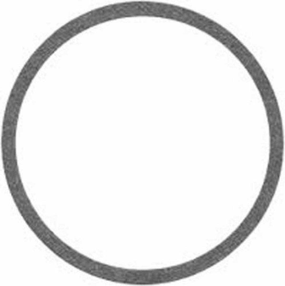 ARMSTRONG PUMPS Armstrong Pumps 106592-000 Fiber gasket AC/DC (1 x 2 x 3 inches)