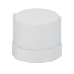 TIGRE Tigre 448-007 Cap fipt 3/4 in (pack 250) replacement 304352