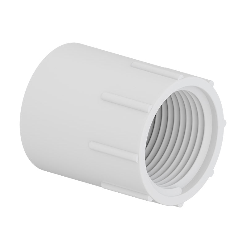 TIGRE Tigre 435-007 Female adapter slip x FIPT 3/4 (100 per box)