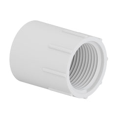 TIGRE Tigre 435-007 Female adapter slip x FIPT 3/4 (100 per box)