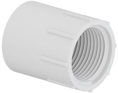 TIGRE Tigre 435-007 Female adapter slip x FIPT 3/4 (100 per box)